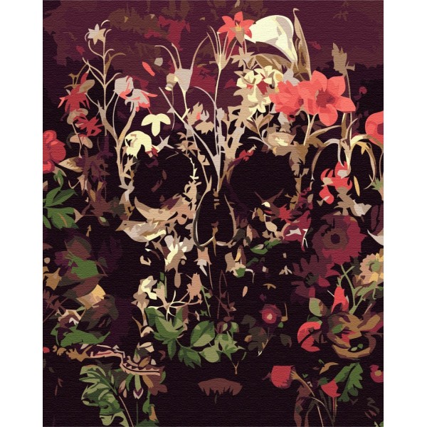 Преміум картина за номерами Череп в сухоцвітах PBS51520