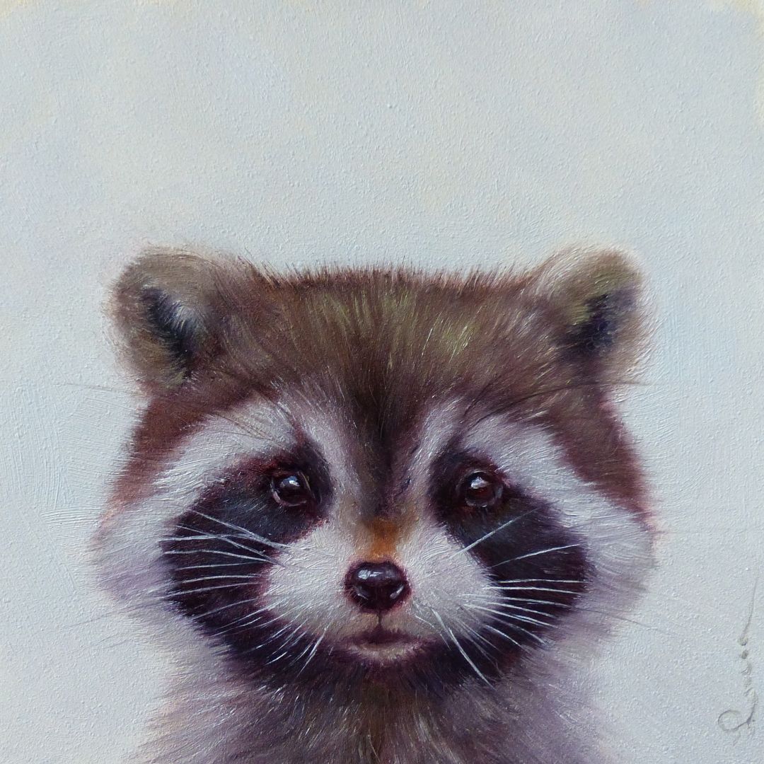 Єнотик ©Lucia Heffernan CN53300S
