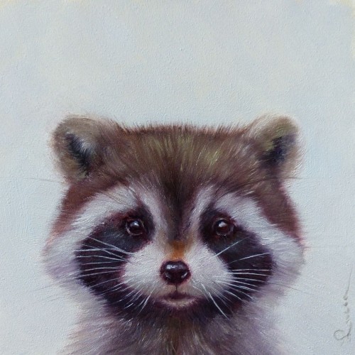 Єнотик ©Lucia Heffernan CN53300S