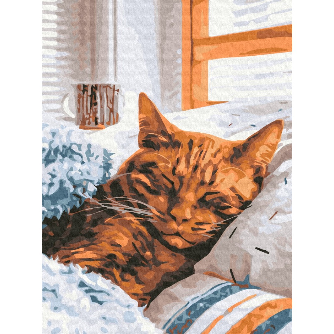Ранковий котик