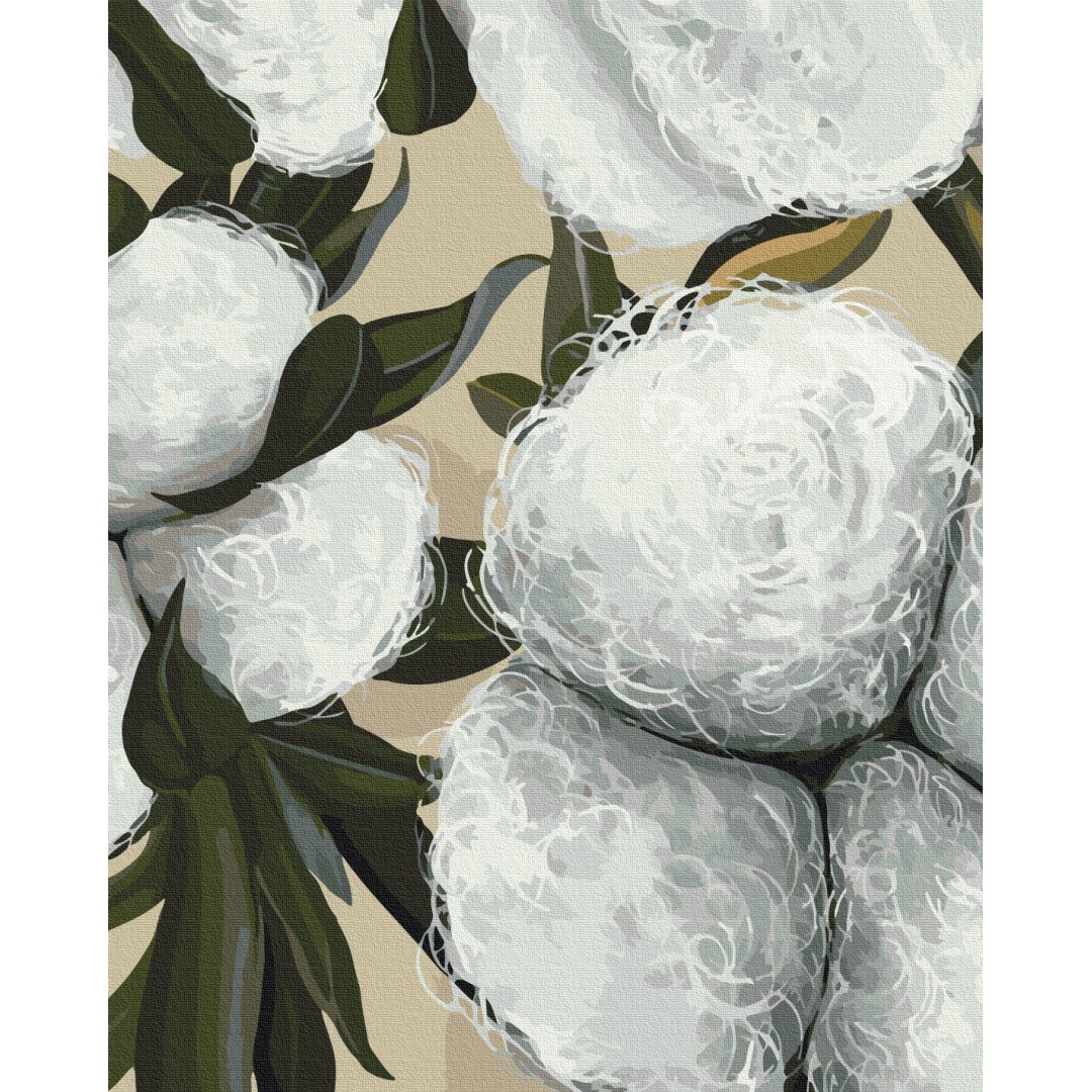 Бавовна © Yana Biluhina Бавовна © Yana Biluhina