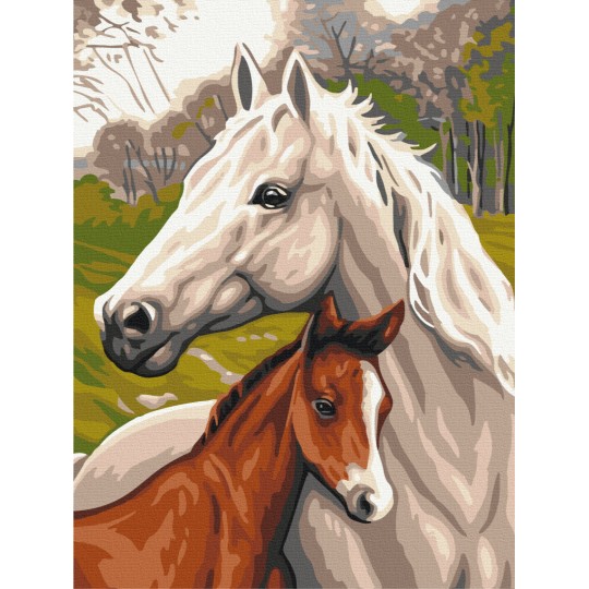 Сім'я коней