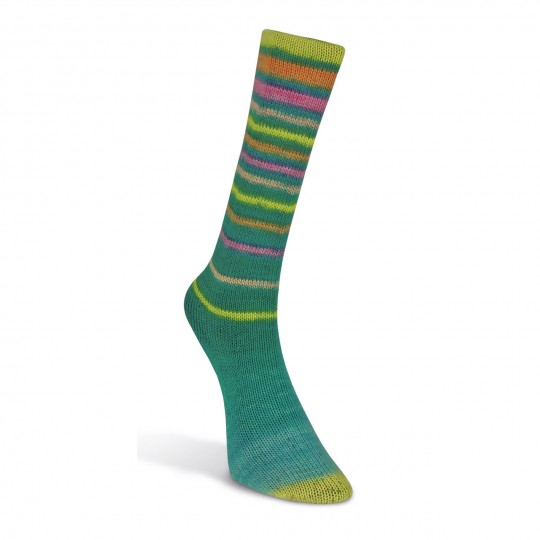 Laines du Nord Infinity Sock, 13