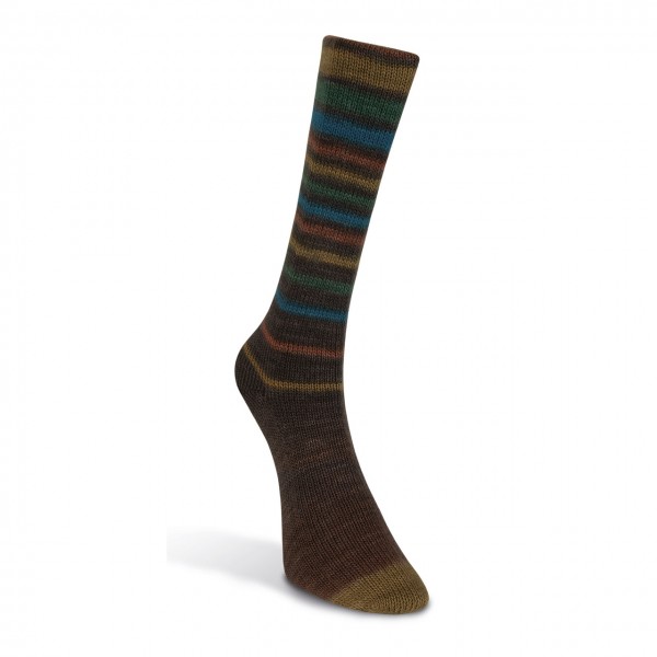 Laines du Nord Infinity Sock, 16