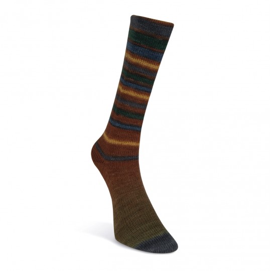 Laines du Nord Infinity Sock, 17