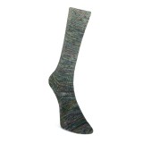 Laines du Nord Paint Gradient Sock, 10