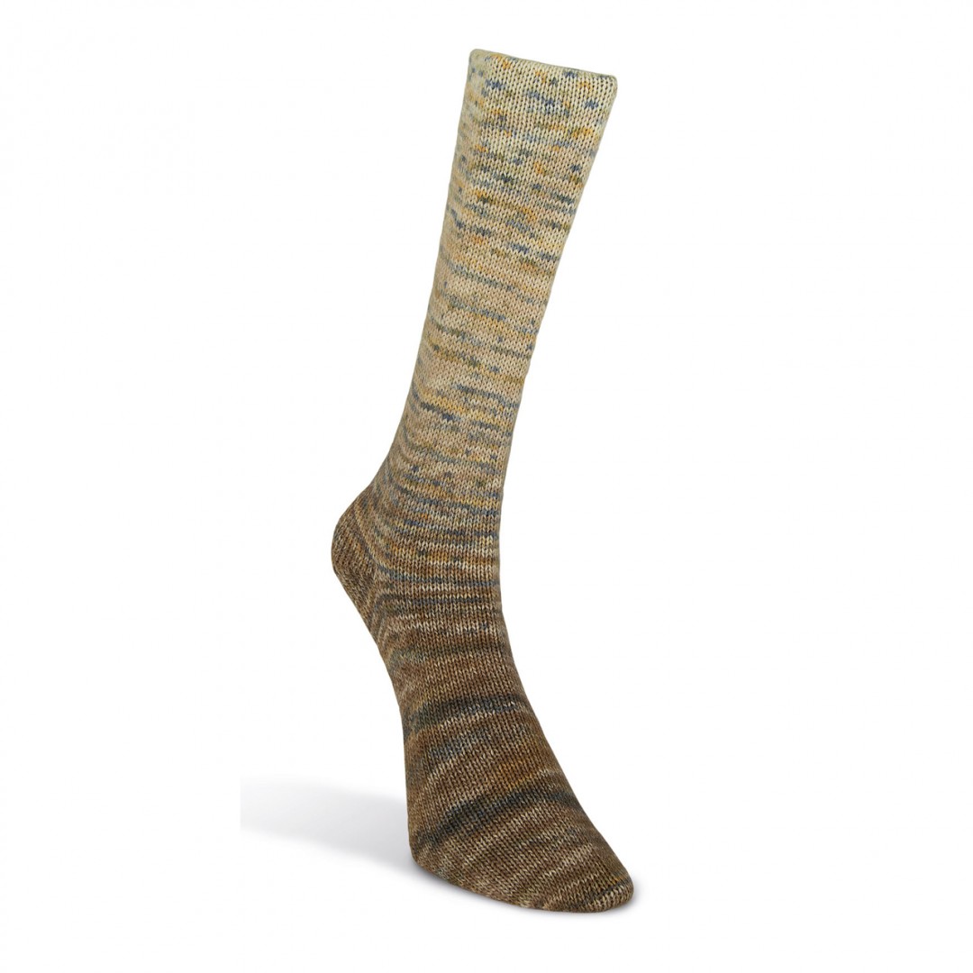 Laines du Nord Paint Gradient Sock, 14