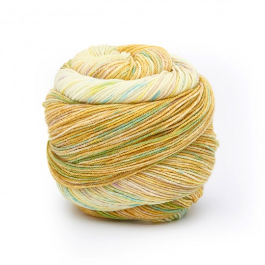 Laines du Nord Paint Gradient Sock, 17