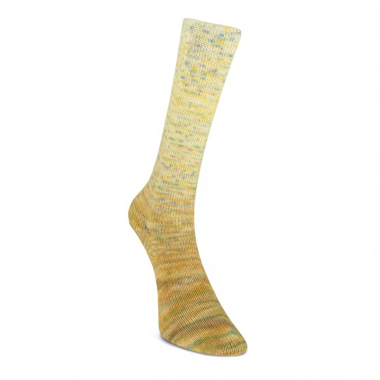 Laines du Nord Paint Gradient Sock, 17