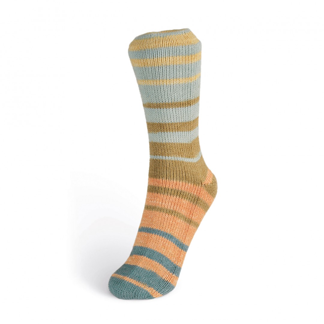 Laines du Nord Summer Sock, 103