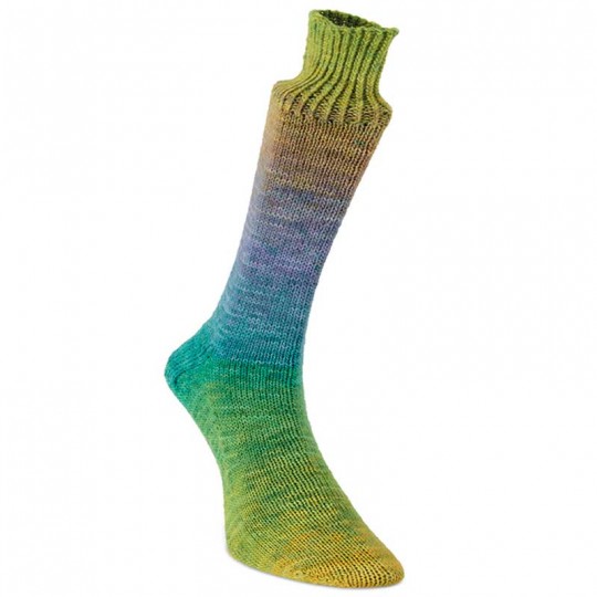 Laines du Nord Watercolor Sock, 100
