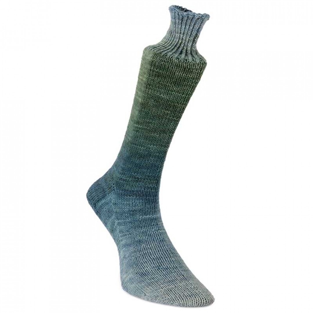 Laines du Nord Watercolor Sock, 101