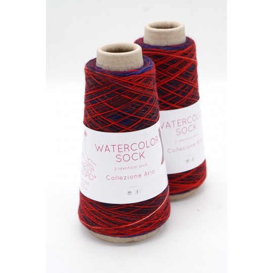 Laines du Nord Watercolor Sock, 105