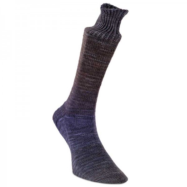 Laines du Nord Watercolor Sock, 106