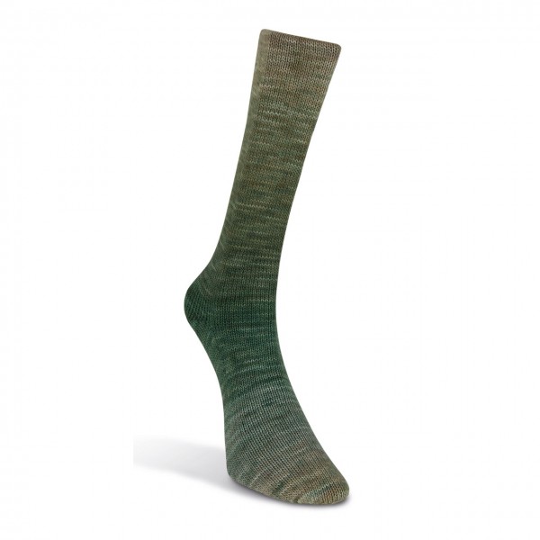 Laines du Nord Watercolor Sock, 200