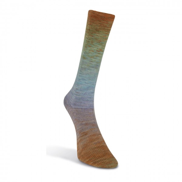 Laines du Nord Watercolor Sock, 201
