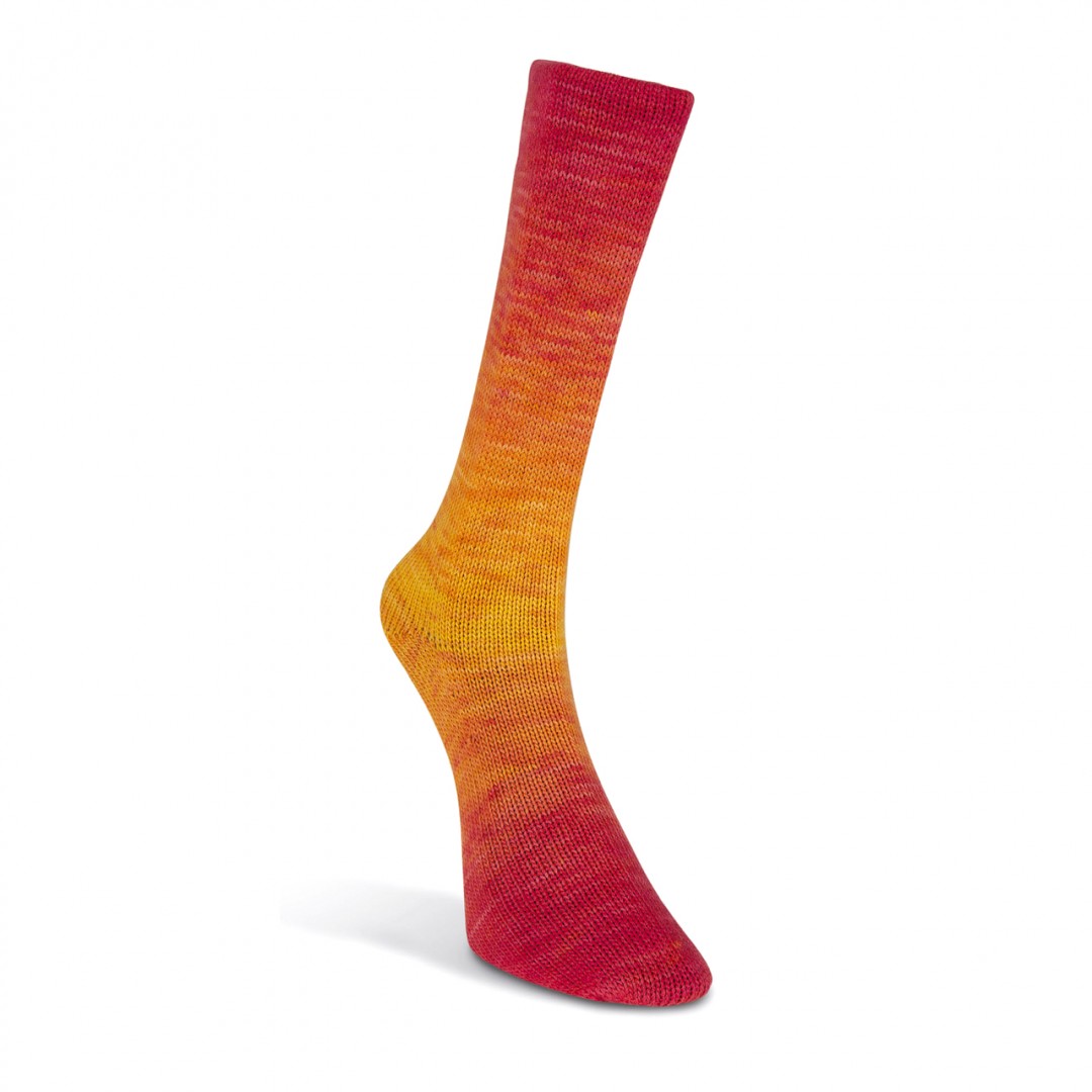 Laines du Nord Watercolor Sock, 202