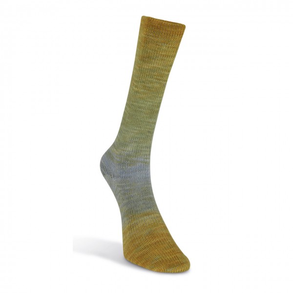 Laines du Nord Watercolor Sock, 203