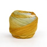 Laines du Nord Watercolor Sock, 203