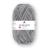 Pro Lana Golden Socks Color, 721