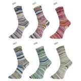 Pro Lana Golden Socks Schonwald, 667