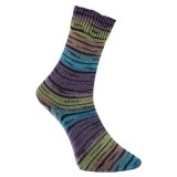 Pro Lana Golden Socks Serfaus, 04