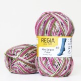 Regia Color 100 г, 00351