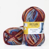 Regia Color 100 г, 00361