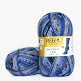 Regia Color 100 г, 00395