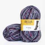 Regia Color 100 г, 00419