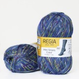Regia Color 100 г, 00423