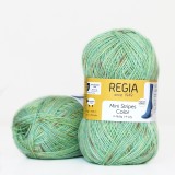 Regia Color 100 г, 00464