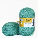 Regia Color 100 г, 00489