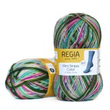 Regia Color 100 г, 00490