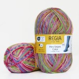 Regia Color 100 г, 00491
