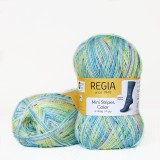 Regia Color 100 г, 00506
