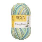 Regia Color 50 г, 03795