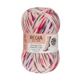 Regia Design Line, 03877