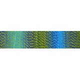 Schoppel Zauberball Crazy, 2136