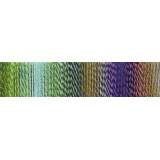 Schoppel Zauberball Crazy, 2170