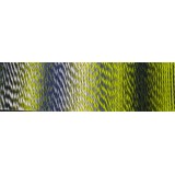 Schoppel Zauberball Crazy, 2204