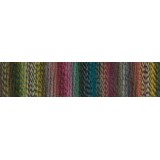 Schoppel Zauberball Crazy, 2528