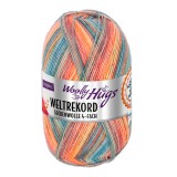 Woolly Hugs Weltrekord Sockenwolle, 02