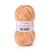 YarnArt Forza Arcadia, 6803