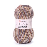 YarnArt Forza Arcadia, 6805