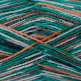 YarnArt Forza Arcadia, 6807
