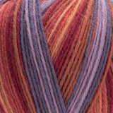 YarnArt Forza, 2503