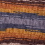 YarnArt Forza, 2504