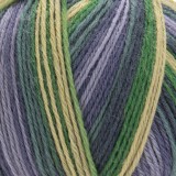YarnArt Forza, 2505
