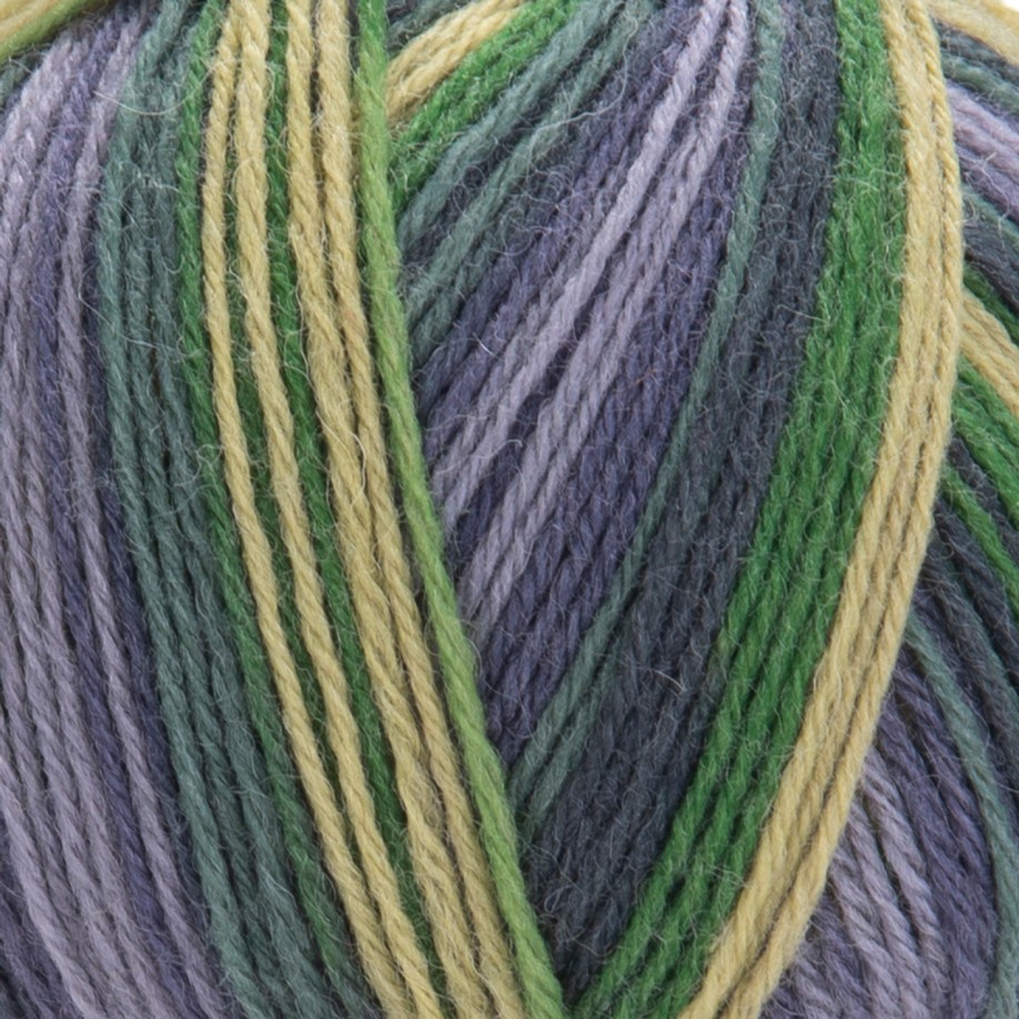 YarnArt Forza, 2505